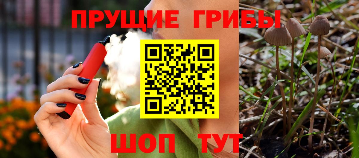 купить наркотики цена  Вход с VPN  Миллерово  Галлюциногенные грибы Cubensis  Псилоцибиновые грибы Psilocybe 
